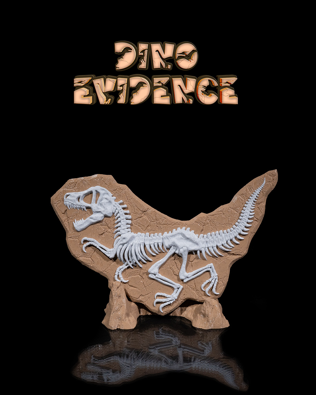 Dino Evidence